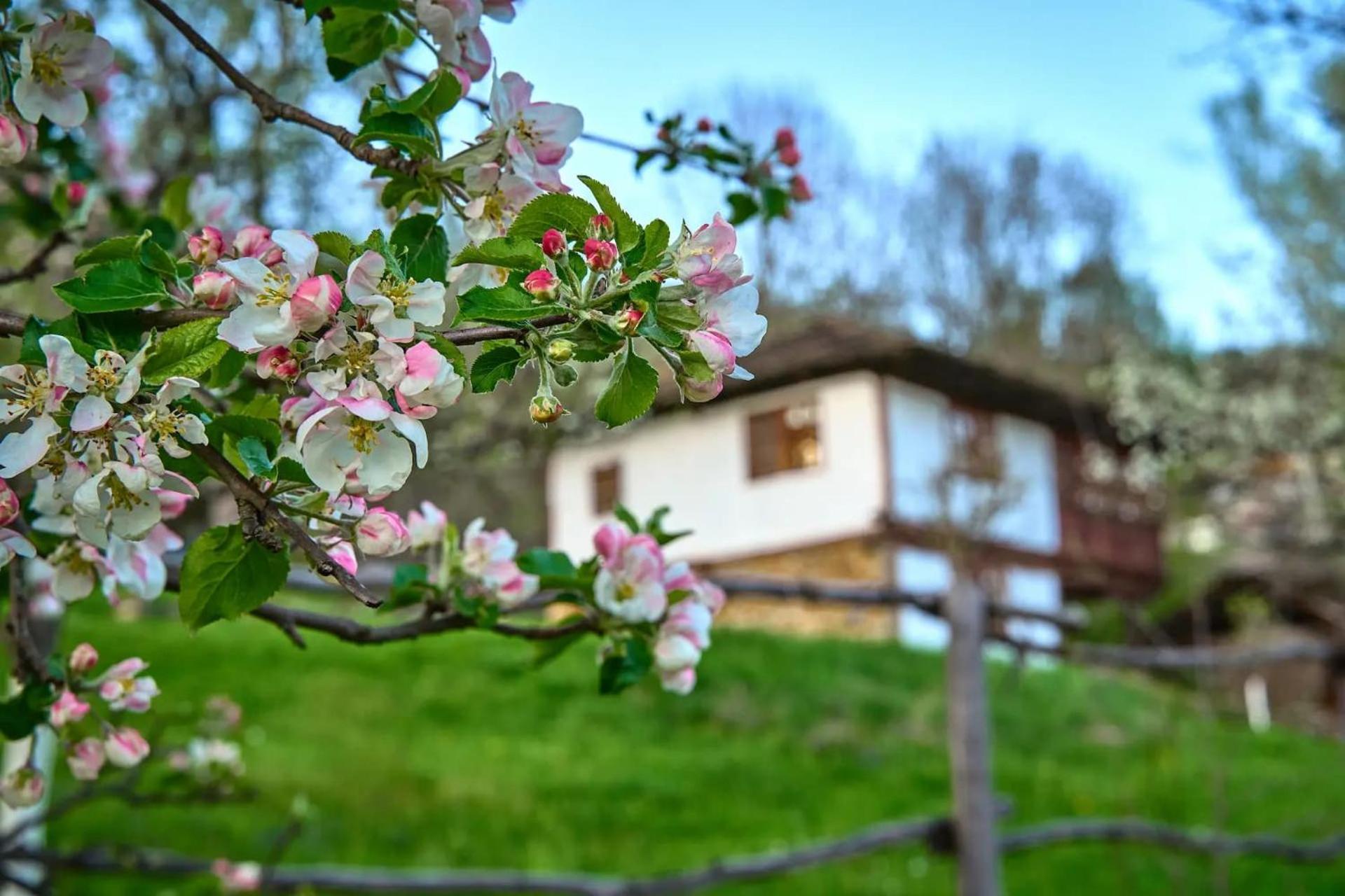 Villa Authentic House With Stunning Mountain View - Karashka Apriltsi  Exterior foto